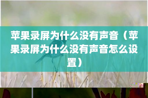 苹果录屏为什么没有声音（苹果录屏为什么没有声音怎么设置）