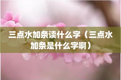 三点水加条读什么字（三点水加条是什么字啊）