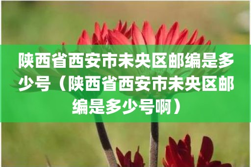 陕西省西安市未央区邮编是多少号（陕西省西安市未央区邮编是多少号啊）
