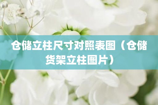 仓储立柱尺寸对照表图（仓储货架立柱图片）