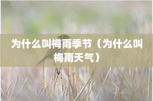 为什么叫梅雨季节（为什么叫梅雨天气）