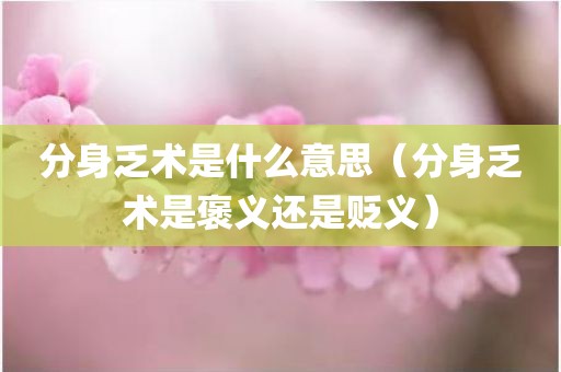分身乏术是什么意思（分身乏术是褒义还是贬义）