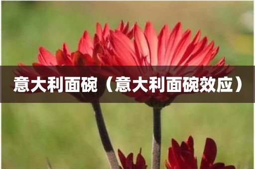 意大利面碗（意大利面碗效应）
