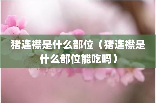 猪连襟是什么部位（猪连襟是什么部位能吃吗）