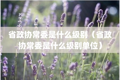 省政协常委是什么级别（省政协常委是什么级别单位）