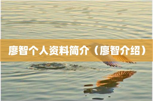 廖智个人资料简介（廖智介绍）