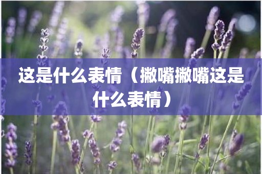 这是什么表情（撇嘴撇嘴这是什么表情）