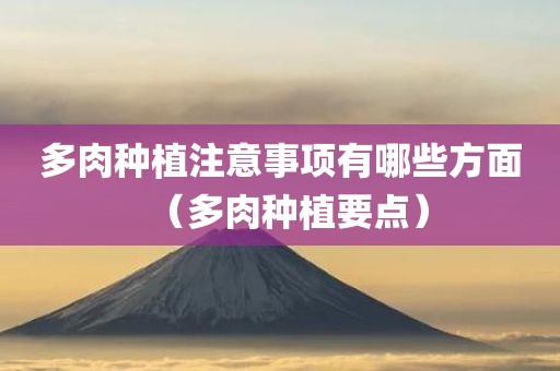 多肉种植注意事项有哪些方面（多肉种植要点）