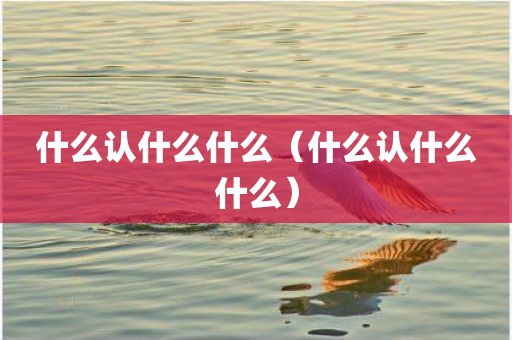 什么认什么什么（什么认什么什么）
