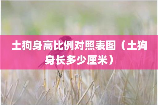 土狗身高比例对照表图（土狗身长多少厘米）