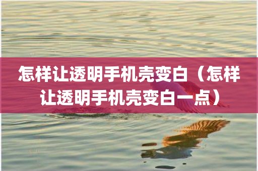 怎样让透明手机壳变白（怎样让透明手机壳变白一点）