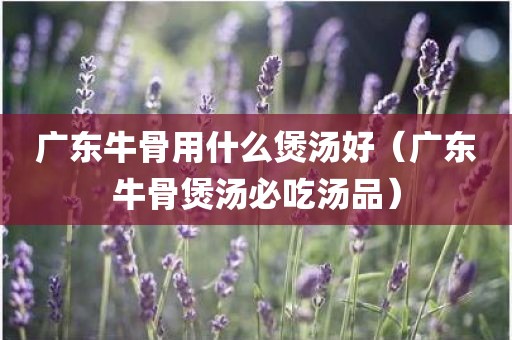 广东牛骨用什么煲汤好（广东牛骨煲汤必吃汤品）