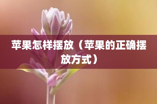 苹果怎样摆放（苹果的正确摆放方式）