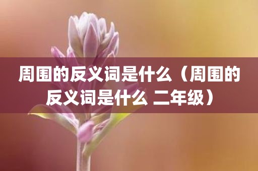 周围的反义词是什么（周围的反义词是什么 二年级）