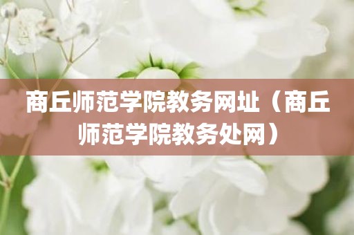商丘师范学院教务网址（商丘师范学院教务处网）