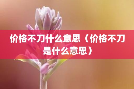 价格不刀什么意思（价格不刀是什么意思）