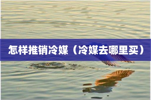 怎样推销冷媒（冷媒去哪里买）