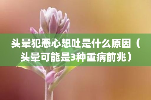 头晕犯恶心想吐是什么原因（头晕可能是3种重病前兆）