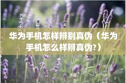 华为手机怎样辨别真伪（华为手机怎么样辨真伪?）