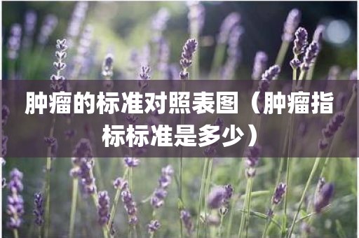 肿瘤的标准对照表图（肿瘤指标标准是多少）