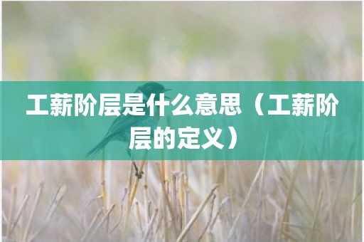 工薪阶层是什么意思（工薪阶层的定义）