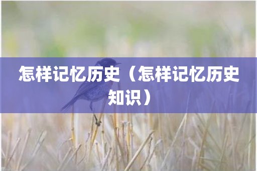 怎样记忆历史（怎样记忆历史知识）