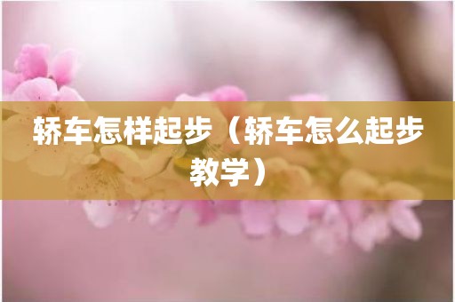 轿车怎样起步（轿车怎么起步教学）