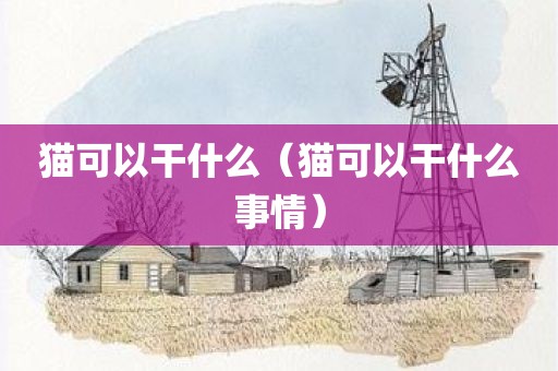 猫可以干什么(猫可以干什么事情)