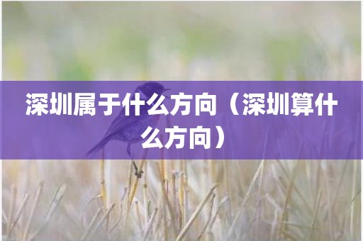 深圳属于什么方向（深圳算什么方向）