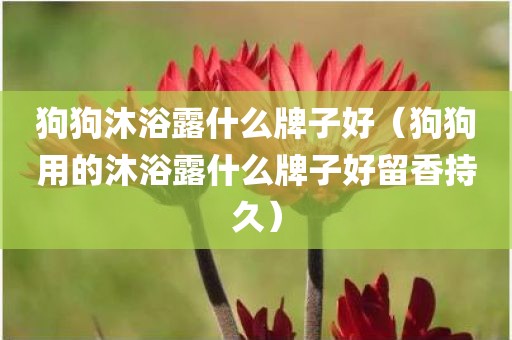 狗狗沐浴露什么牌子好（狗狗用的沐浴露什么牌子好留香持久）