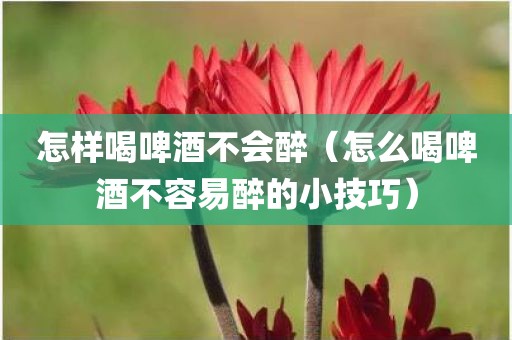 怎样喝啤酒不会醉（怎么喝啤酒不容易醉的小技巧）