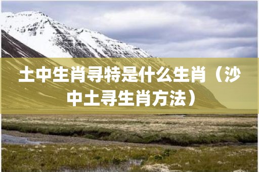 土中生肖寻特是什么生肖（沙中土寻生肖方法）