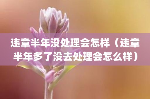 违章半年没处理会怎样（违章半年多了没去处理会怎么样）