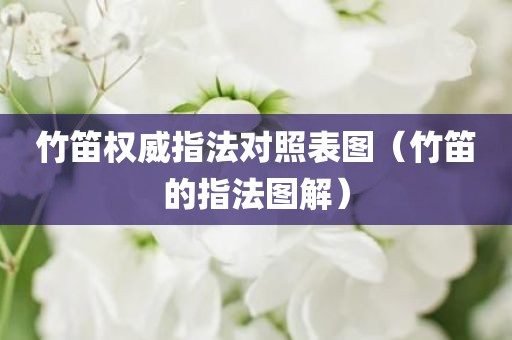 竹笛权威指法对照表图（竹笛的指法图解）