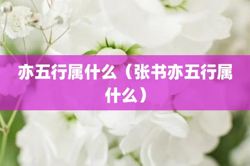 亦五行属什么（张书亦五行属什么）