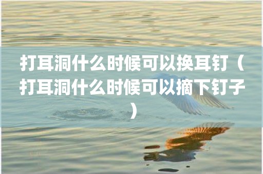 打耳洞什么时候可以换耳钉(打耳洞什么时候可以摘下钉子)