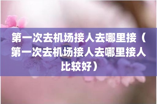 第一次去机场接人去哪里接（第一次去机场接人去哪里接人比较好）