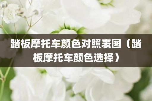 踏板摩托车颜色对照表图（踏板摩托车颜色选择）