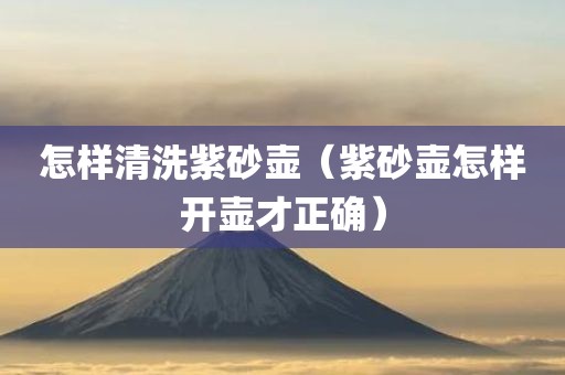 怎样清洗紫砂壶（紫砂壶怎样开壶才正确）