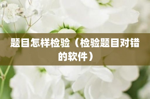 题目怎样检验（检验题目对错的软件）