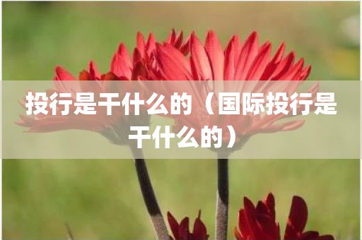 投行是干什么的（国际投行是干什么的）