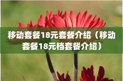移动套餐18元套餐介绍（移动套餐18元档套餐介绍）