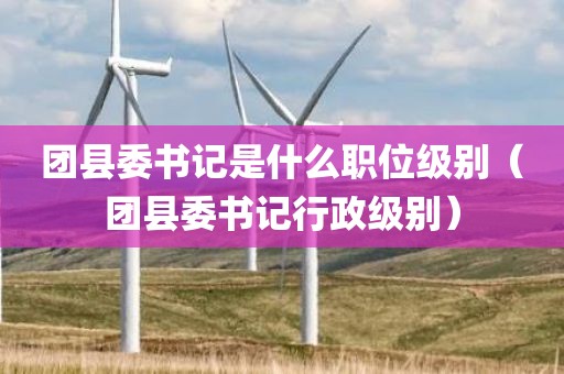 团县委书记是什么职位级别（团县委书记行政级别）