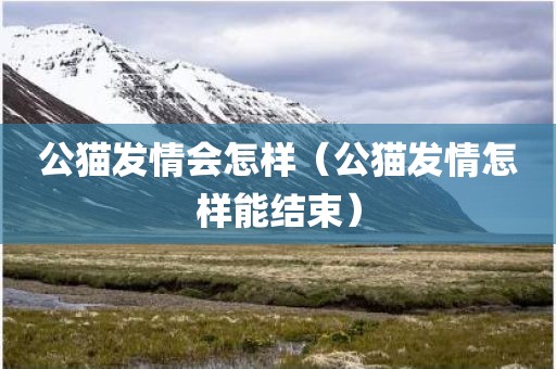 公猫发情会怎样（公猫发情怎样能结束）