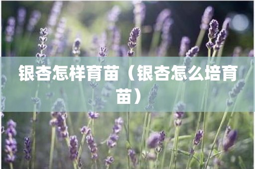 银杏怎样育苗（银杏怎么培育苗）