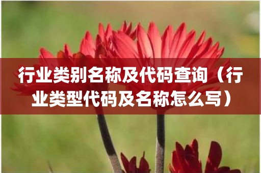 行业类别名称及代码查询（行业类型代码及名称怎么写）