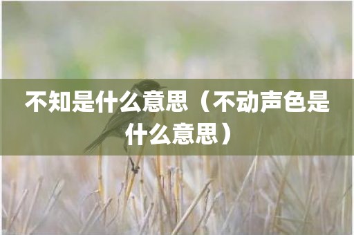 不知是什么意思（不动声色是什么意思）