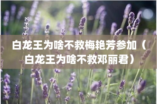 白龙王为啥不救梅艳芳参加（白龙王为啥不救邓丽君）