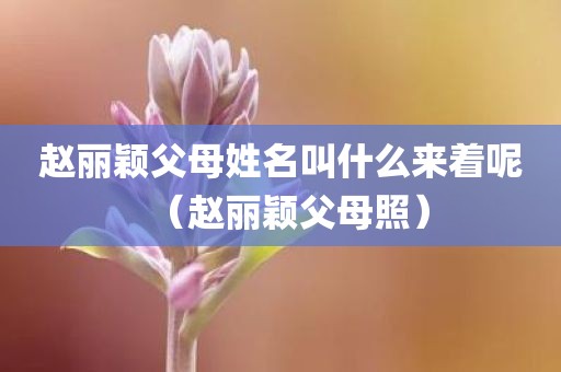 赵丽颖父母姓名叫什么来着呢(赵丽颖父母照) 赵丽颖父母姓名叫什么来着呢(赵丽颖父母照)