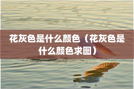花灰色是什么颜色（花灰色是什么颜色求图）